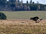 Název souboru=jaro2013_401.jpg
Velikost souboru=104KB
Rozměry=640x480
Datum přidání=19. Duben 2013 jaro2013_401.jpg