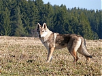 Název souboru=jaro2013_414.jpg
Velikost souboru=123KB
Rozměry=640x480
Datum přidání=19. Duben 2013 jaro2013_414.jpg