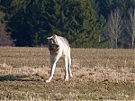 Název souboru=jaro2013_481.jpg
Velikost souboru=114KB
Rozměry=640x480
Datum přidání=19. Duben 2013 jaro2013_481.jpg