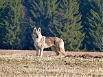 Název souboru=jaro2013_504.jpg
Velikost souboru=122KB
Rozměry=640x480
Datum přidání=19. Duben 2013 jaro2013_504.jpg