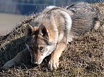 Název souboru=jaro2013_664.jpg
Velikost souboru=138KB
Rozměry=640x480
Datum přidání=19. Duben 2013 jaro2013_664.jpg