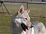 Název souboru=jaro2013_670.jpg
Velikost souboru=100KB
Rozměry=640x480
Datum přidání=19. Duben 2013 jaro2013_670.jpg