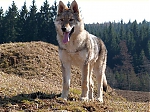 Název souboru=jaro2013_746.jpg
Velikost souboru=120KB
Rozměry=640x480
Datum přidání=19. Duben 2013 jaro2013_746.jpg