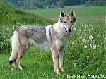 Název souboru=jaruska1.jpg
Velikost souboru=240KB
Rozměry=600x450
Datum přidání=09. Září 2015 jaruska1.jpg