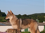 Název souboru=jaruska_62C5mesice_063.jpg
Velikost souboru=173KB
Rozměry=640x480
Datum přidání=17. Září 2013 jaruska_62C5mesice_063.jpg