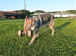 Název souboru=jaruska_62C5mesice_092.jpg
Velikost souboru=137KB
Rozměry=640x480
Datum přidání=17. Září 2013 jaruska_62C5mesice_092.jpg