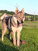 Název souboru=jaruska_62C5mesice_104.jpg
Velikost souboru=124KB
Rozměry=480x640
Datum přidání=17. Září 2013 jaruska_62C5mesice_104.jpg