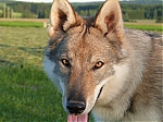 Název souboru=jaruska_62C5mesice_128.jpg
Velikost souboru=164KB
Rozměry=640x480
Datum přidání=17. Září 2013 jaruska_62C5mesice_128.jpg