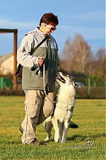 l2.jpg