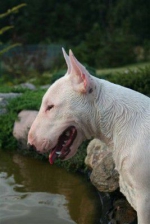Název souboru=lord3.jpg
Velikost souboru=19KB
Rozměry=267x400
Datum přidání=24. Červenec 2011 lord3.jpg