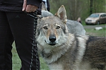 onch1111.jpg