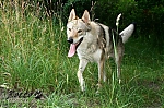 Název souboru=rick10.jpg
Velikost souboru=97KB
Rozměry=800x533
Datum přidání=17. Září 2013 rick10.jpg