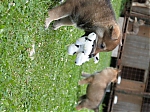 stenatka_srpen_2013_004.jpg