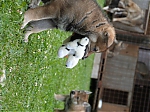 stenatka_srpen_2013_005.jpg