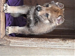 stenatka_srpen_2013_008.jpg