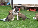 stenatka_srpen_2013_015.jpg