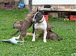 stenatka_srpen_2013_016.jpg