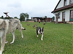 stenatka_srpen_2013_018.jpg