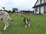 stenatka_srpen_2013_019.jpg