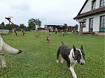 stenatka_srpen_2013_020.jpg