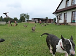 stenatka_srpen_2013_021.jpg