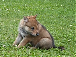 stenatka_srpen_2013_032.jpg