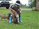 stenatka_srpen_2013_038.jpg