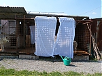 Název souboru=vrh_J_4_dny_I_7_dni_220~0.jpg
Velikost souboru=161KB
Rozměry=640x480
Datum přidání=30. Leden 2014 vrh_J_4_dny_I_7_dni_220~0.jpg