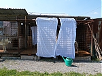 Název souboru=vrh_J_4_dny_I_7_dni_221.jpg
Velikost souboru=162KB
Rozměry=640x480
Datum přidání=17. Září 2013 vrh_J_4_dny_I_7_dni_221.jpg