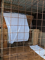 Název souboru=vrh_J_4_dny_I_7_dni_222.jpg
Velikost souboru=143KB
Rozměry=480x640
Datum přidání=30. Leden 2014 vrh_J_4_dny_I_7_dni_222.jpg