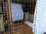 Název souboru=vrh_J_4_dny_I_7_dni_223.jpg
Velikost souboru=162KB
Rozměry=640x480
Datum přidání=30. Leden 2014 vrh_J_4_dny_I_7_dni_223.jpg