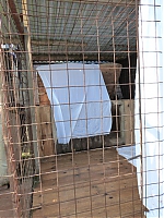 Název souboru=vrh_J_4_dny_I_7_dni_225.jpg
Velikost souboru=146KB
Rozměry=480x640
Datum přidání=30. Leden 2014 vrh_J_4_dny_I_7_dni_225.jpg