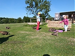vrhy_15_8_2013_1384.jpg