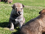 vrhy_15_8_2013_1399.jpg