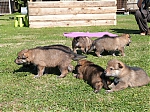 vrhy_15_8_2013_1402.jpg
