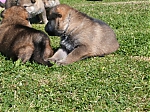 vrhy_15_8_2013_1404.jpg