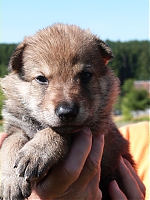 vrhy_15_8_2013_1511.jpg