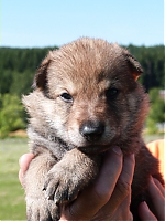 vrhy_15_8_2013_1514.jpg