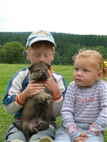 vrhy_i2Cj_22_8_2013_007.jpg