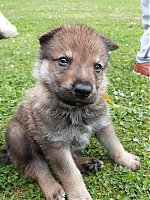 vrhy_i2Cj_22_8_2013_014.jpg
