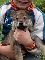 vrhy_i2Cj_22_8_2013_021.jpg