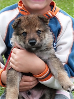vrhy_i2Cj_22_8_2013_026.jpg