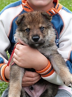 vrhy_i2Cj_22_8_2013_027.jpg