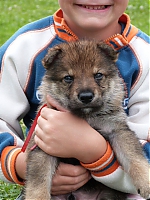 vrhy_i2Cj_22_8_2013_029.jpg