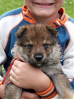 vrhy_i2Cj_22_8_2013_030.jpg