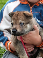 vrhy_i2Cj_22_8_2013_034.jpg