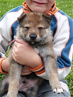 vrhy_i2Cj_22_8_2013_042.jpg