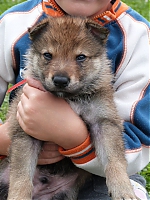vrhy_i2Cj_22_8_2013_043.jpg