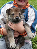 vrhy_i2Cj_22_8_2013_049.jpg
