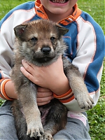 vrhy_i2Cj_22_8_2013_050.jpg
